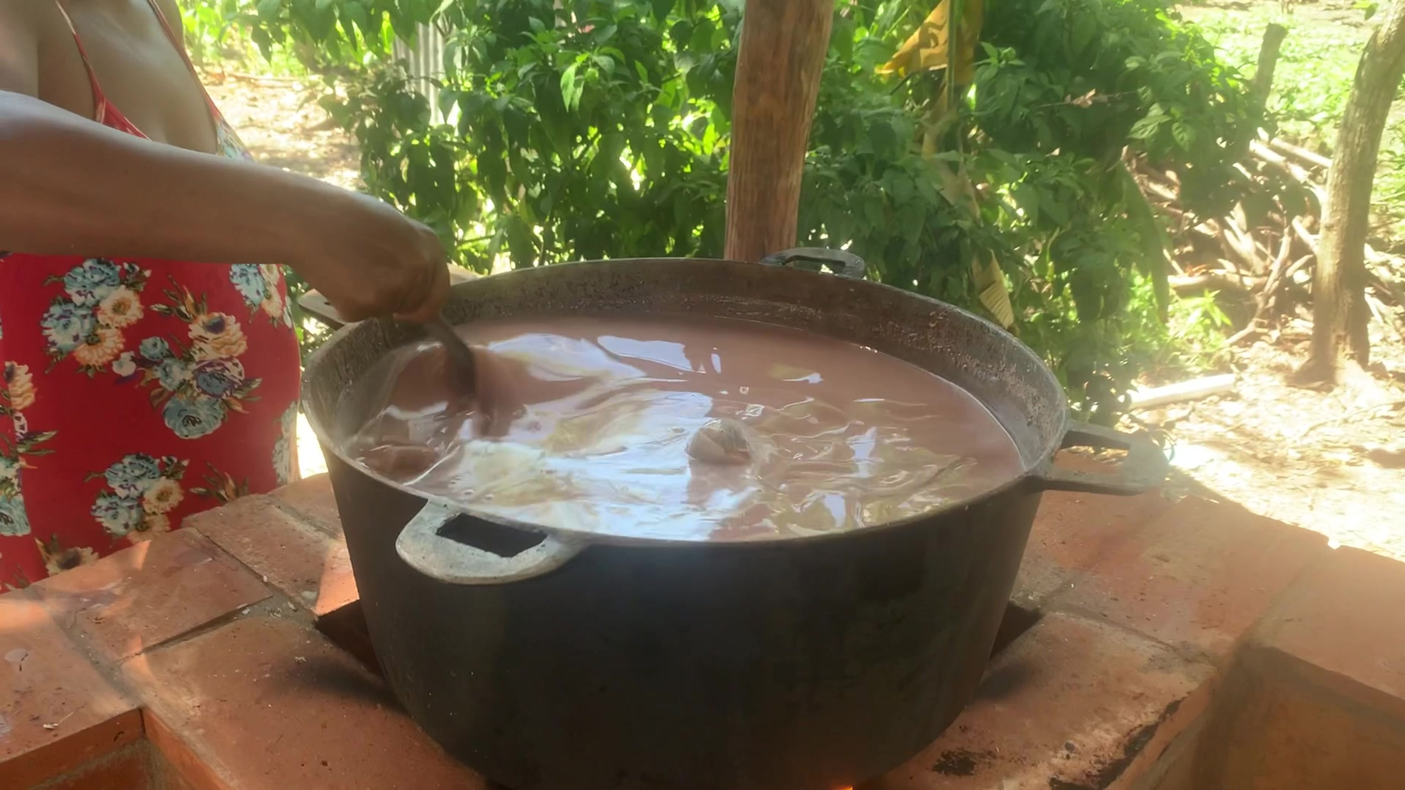 Bula